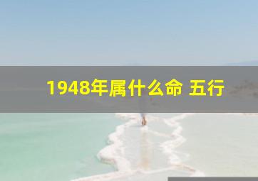 1948年属什么命 五行